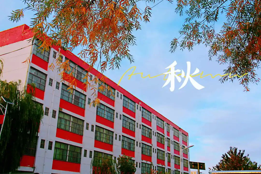 640 (5)_看图王.web.jpg